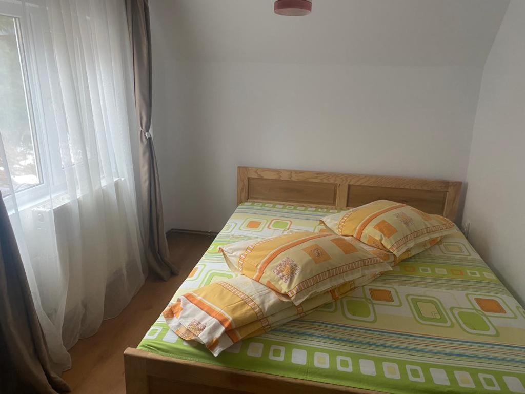 Lupul Dacic Hotel Ranca Buitenkant foto
